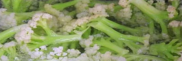 焯煮、油炸設備